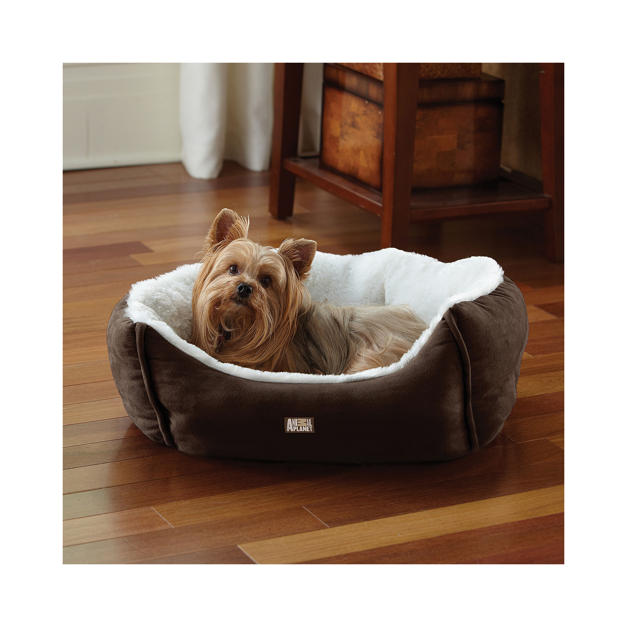 UPC 694202220641 product image for Animal Planet Microsuede Pet Bed | upcitemdb.com