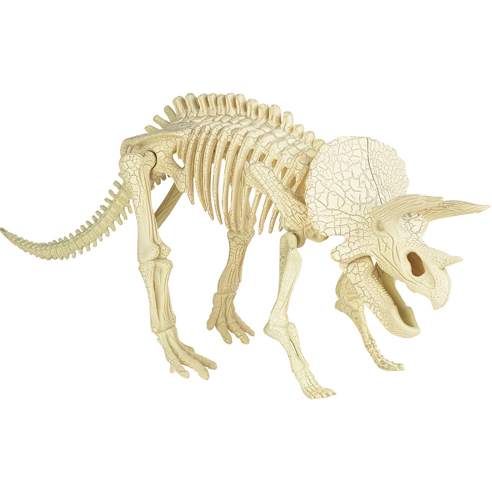 UPC 694202322956 product image for Smithsonian Toy Skeleton 3D Puzzle Triceratops - 10 pieces | upcitemdb.com