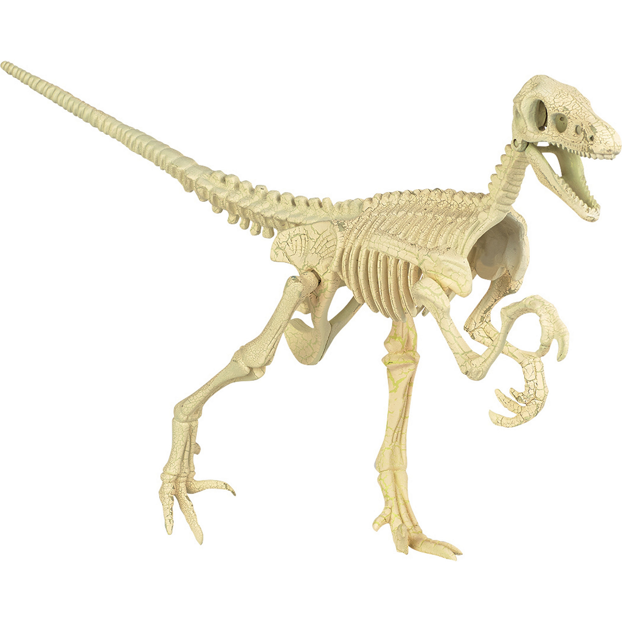 UPC 694202322963 product image for Smithsonian Toy Skeleton 3D Puzzle Velociraptor - 10 pieces | upcitemdb.com