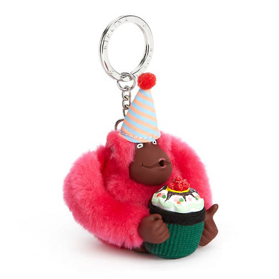 Birthday Monkey,Multi,large