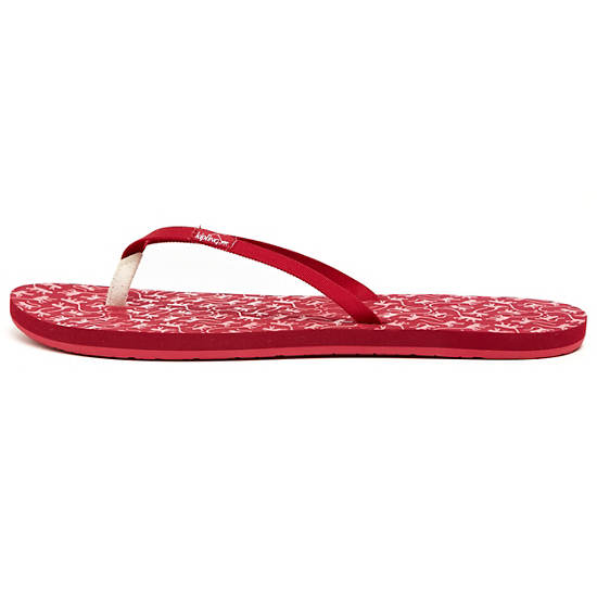 FLIP FLOP Medium,Monkey Mania Pe,large