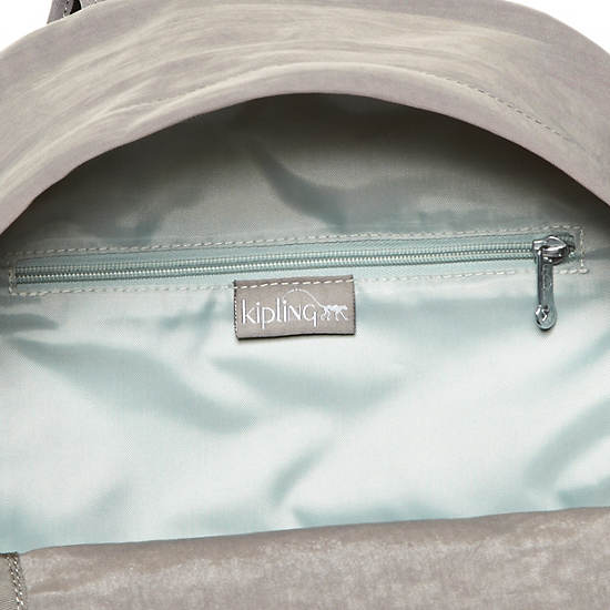 Ridge Backpack,Celo Grey,large