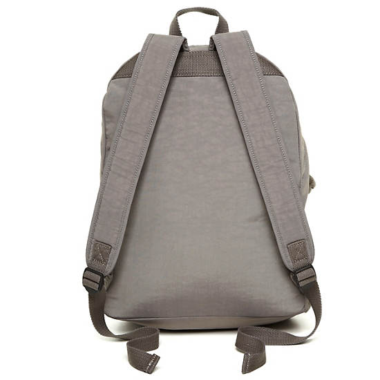 Ridge Backpack,Celo Grey,large