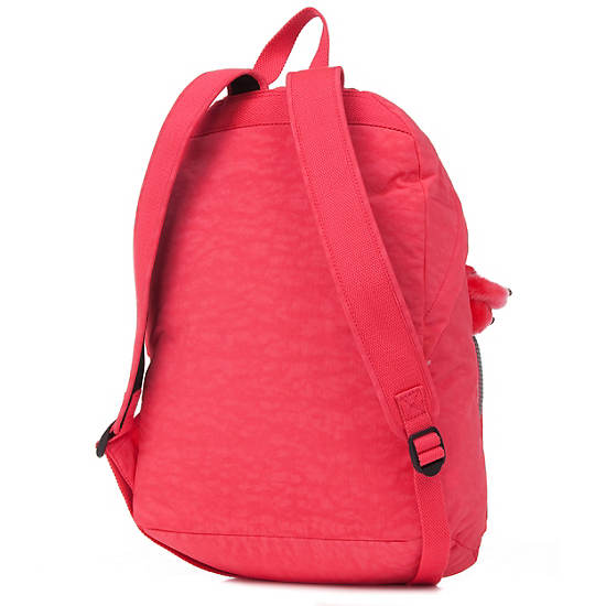 Ridge Backpack,Red,large