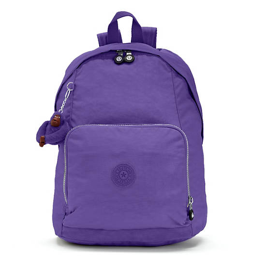 Ridge Backpack,Inlet Purple,large