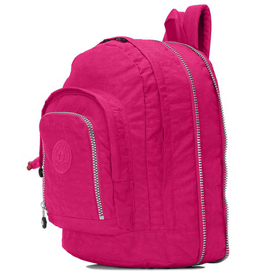 Hal Expandable Backpack,Very Berry,large