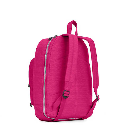 Hal Expandable Backpack,Very Berry,large