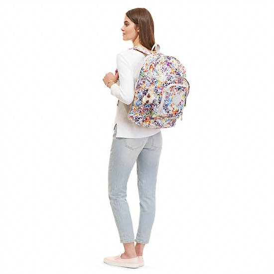 Hal Expandable Backpack,Colorburst,large