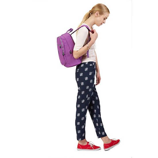 Challenger II Small Backpack,True Blue,large