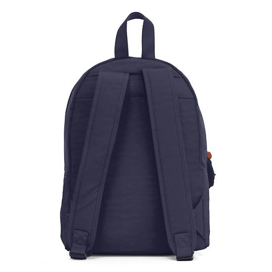 Challenger II Small Backpack,True Blue,large