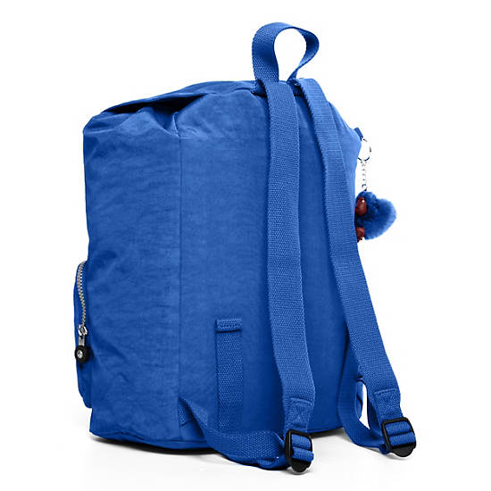 RAYCHEL Backpack,Glacier Blue,large