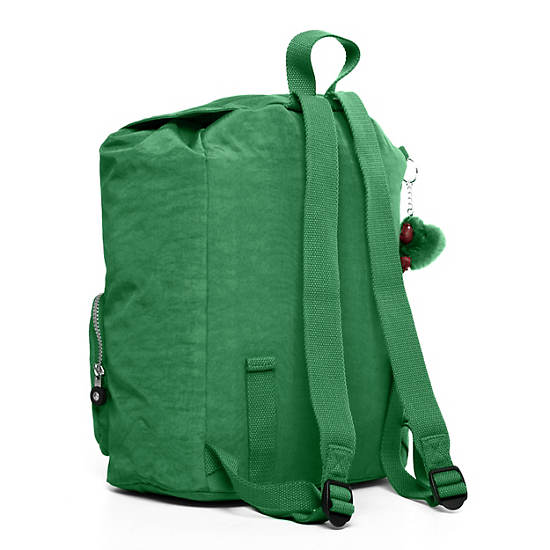 RAYCHEL Backpack,Cactus,large