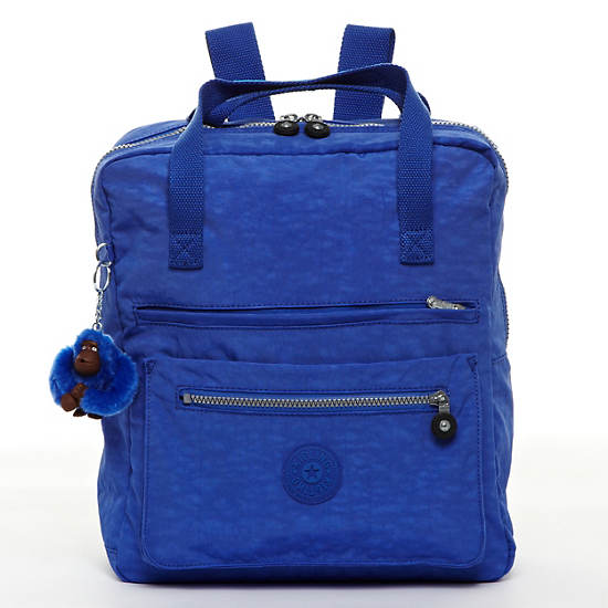 Salee Backpack,Glacier Blue,large