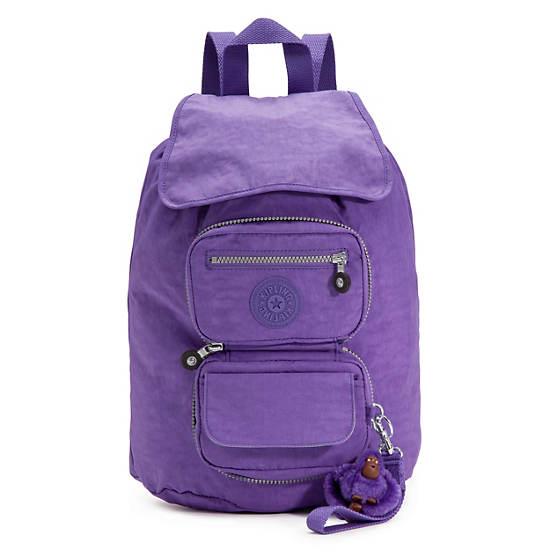 Alicia Foldable Backpack,Vivid Purple,large