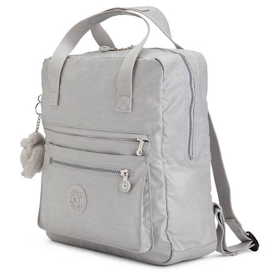 Salee Backpack,Pearlized Ash Grey,large