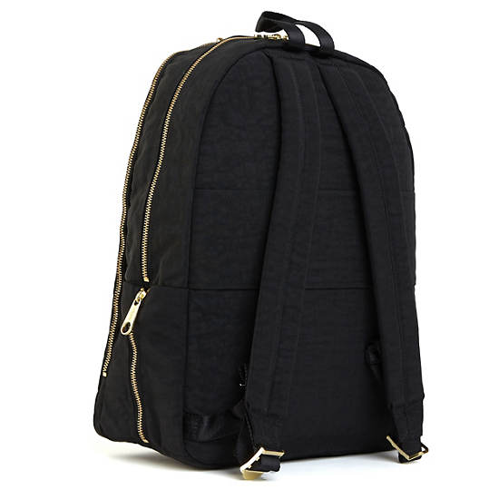 Deeda Large Laptop Backpack,Black Patent Combo,large