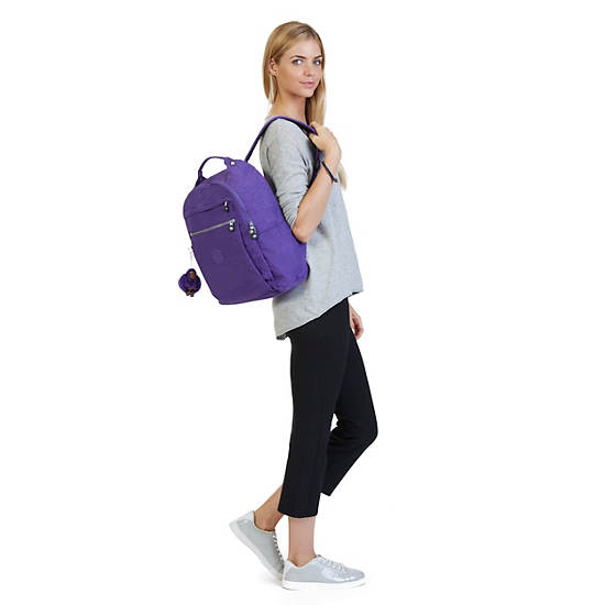 Micah Medium Laptop Backpack,Blue Bird,large