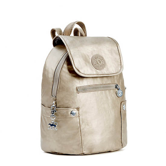 Abygail Small Metallic Backpack,Champagne Metallic,large