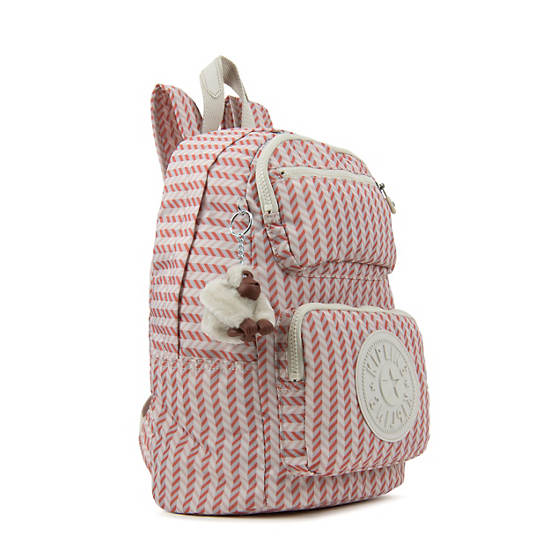 Dawson Small Printed Backpack,Zest Pink,large