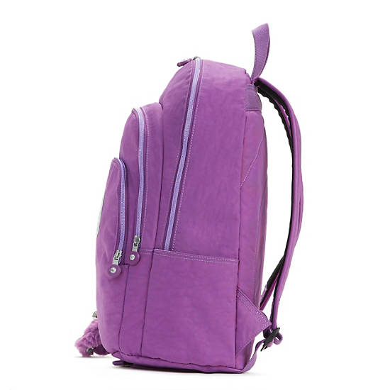 Miles Large Laptop Backpack,Violet Purple,large