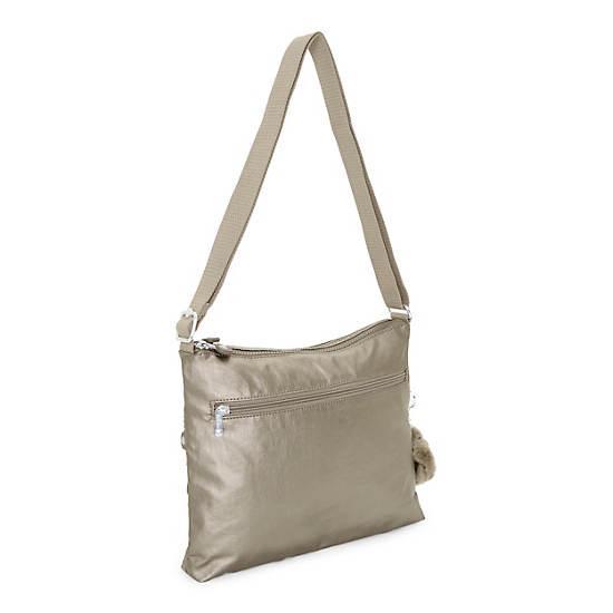 Alvar Crossbody Bag,Metallic Pewter,large