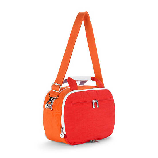 Palm Beach Large Travel Case,Joos Blue Combo,large
