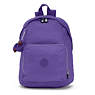 Ridge Backpack,Inlet Purple,small