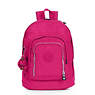 Hal Expandable Backpack,Very Berry,small