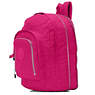 Hal Expandable Backpack,Very Berry,small