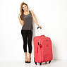 Yubin 81 Spinner Luggage,Celo Grey,small