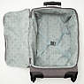 Darcey Small Carry-On Rolling Luggage,Black,small