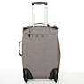 Darcey Small Carry-On Rolling Luggage,Black,small