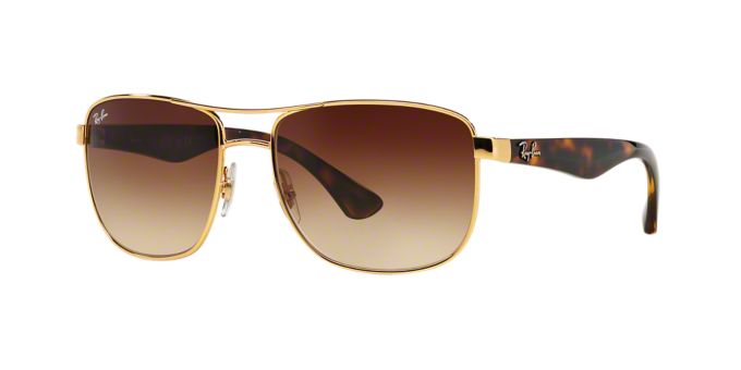 Lenscrafters Ray Ban Sunglasses Our Pride Academy