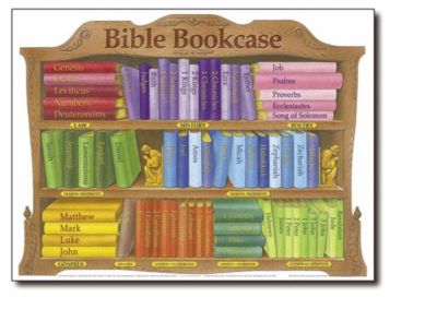 Bible Bookcase: Laminated | Publishing, Rose