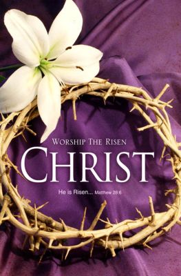 Worship the Risen Christ - Easter Bulletin | LifeWay Christian Bulletin
