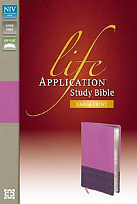 bible study niv application larger imitation indexed purple leather pink zondervan