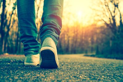 The Road to Discipleship