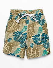 Palms Board Shorts