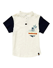 Palms Henley