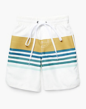 Striped Board Shorts