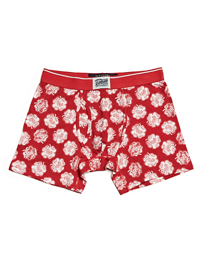 Clover Boxers