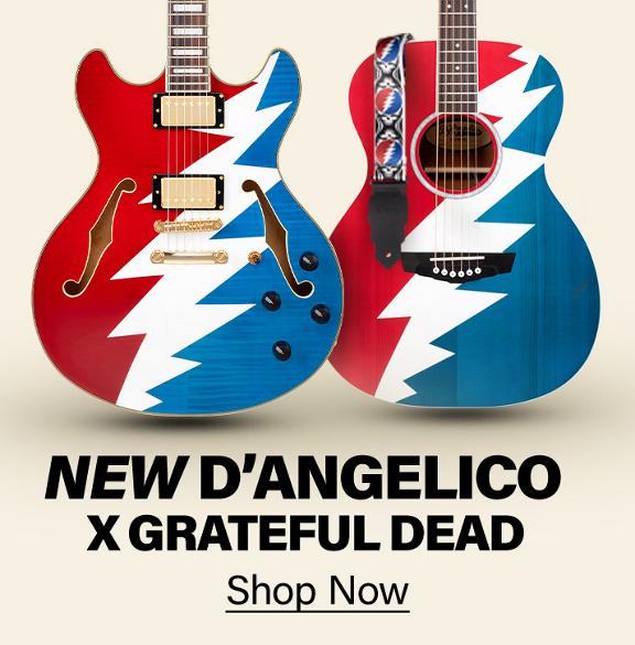 D'angelico X Greatful Dead