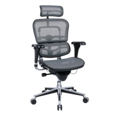 Ergohuman Mesh High Back Ergonomic Chair with Headrest, CH02907