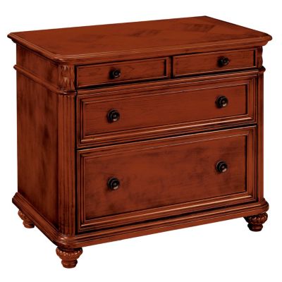 West Indies Cherry Lateral File, DMI-7480-16