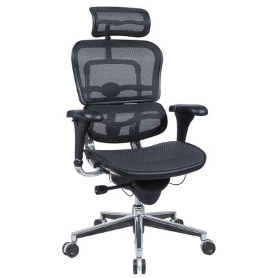 Mesh Office Chairs