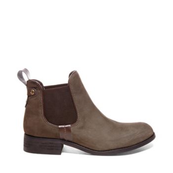 Brown  Black Chelsea Boots | Steve Madden Gilte Boots