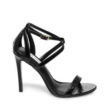 ISOLATEE: STEVE MADDEN