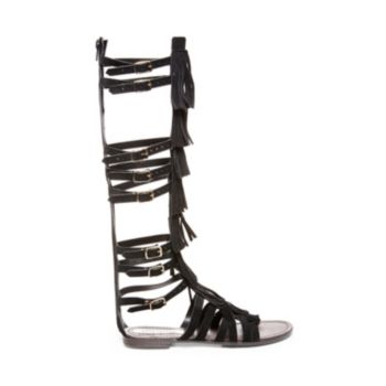 Knee High  Tall Gladiator Sandals for Women | Steve Madden
