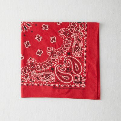 PAISLEY BANDANA WORN OUT WASH