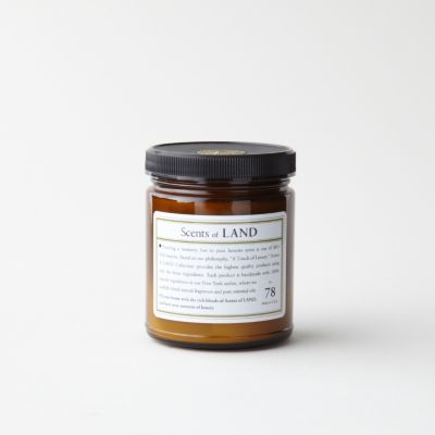 SCENT OF CEDAR